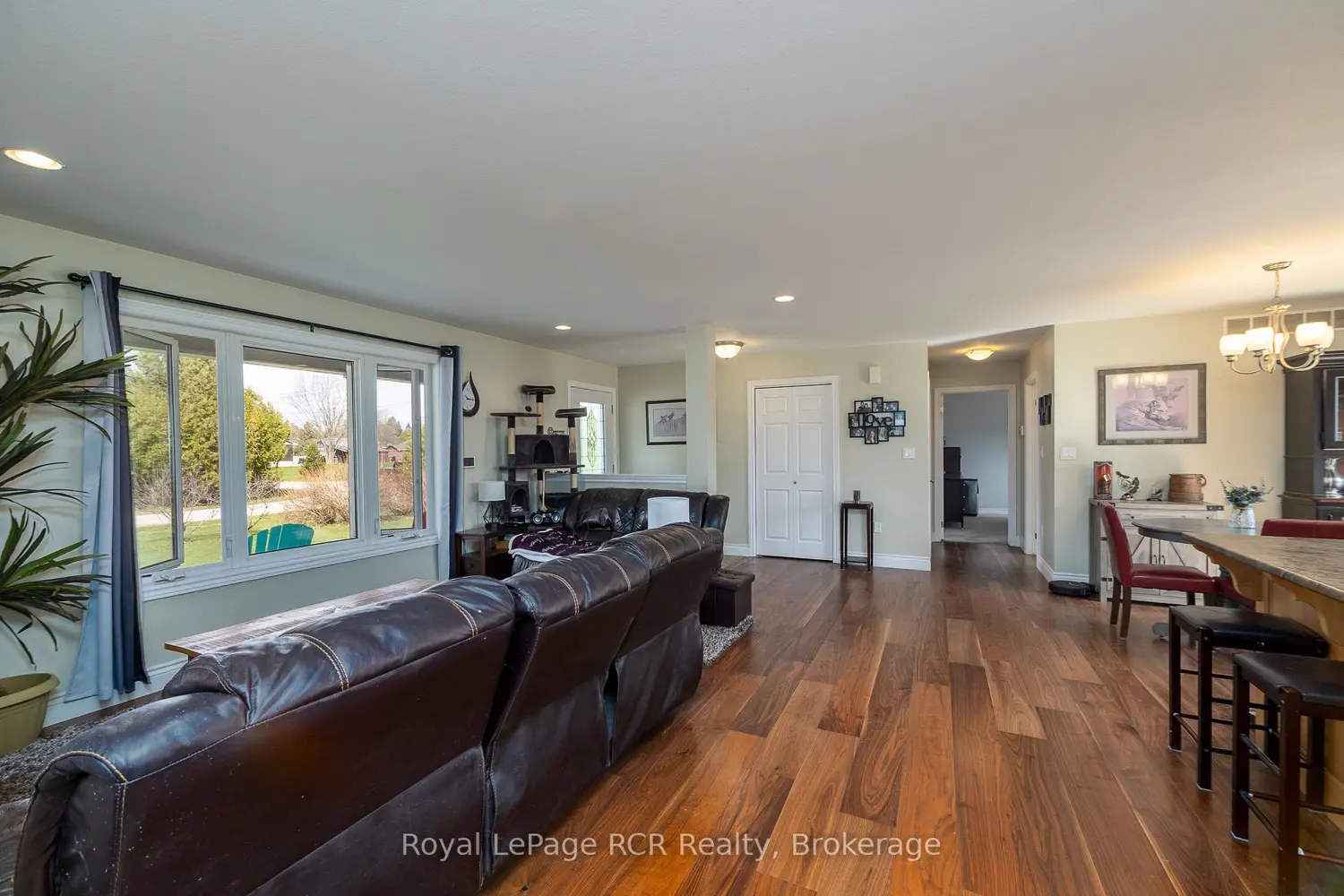 123 Douglas Street photo 2