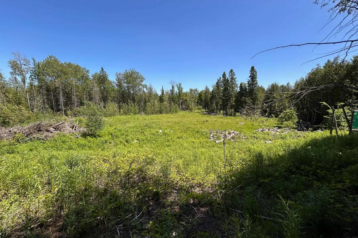 Additional image 18 of 135431 9Th Line