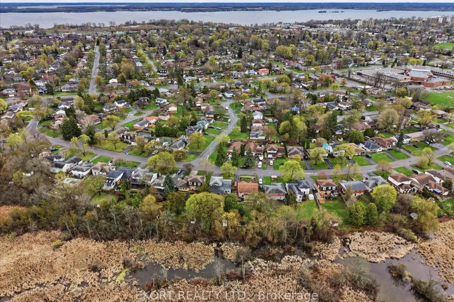 Additional image 19 of 52 Edgehill Road