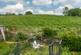 Additional image 18 of Cappell Lane, Ware SG12