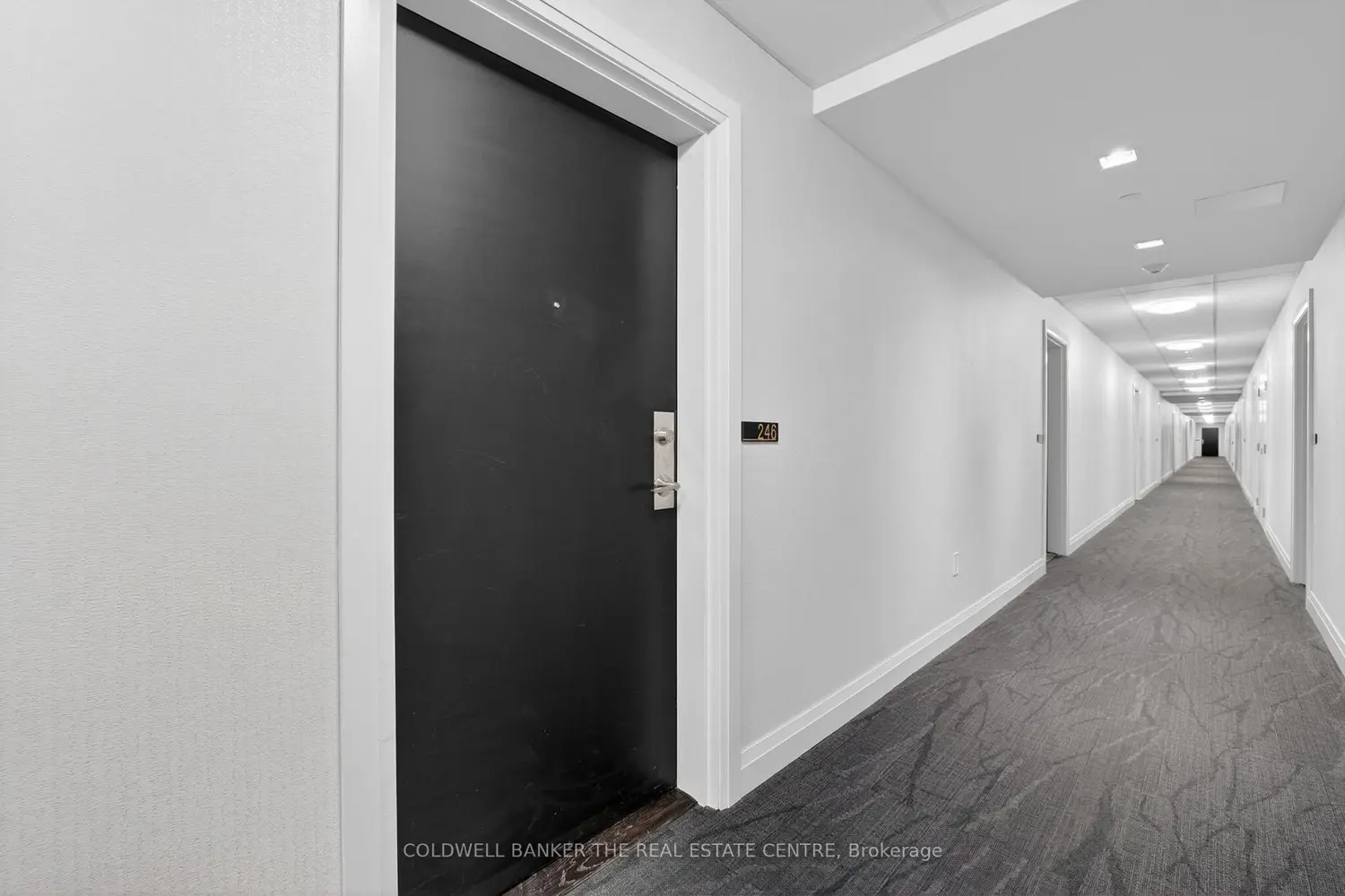 Additional image 3 of 555 William Graham Drive 246