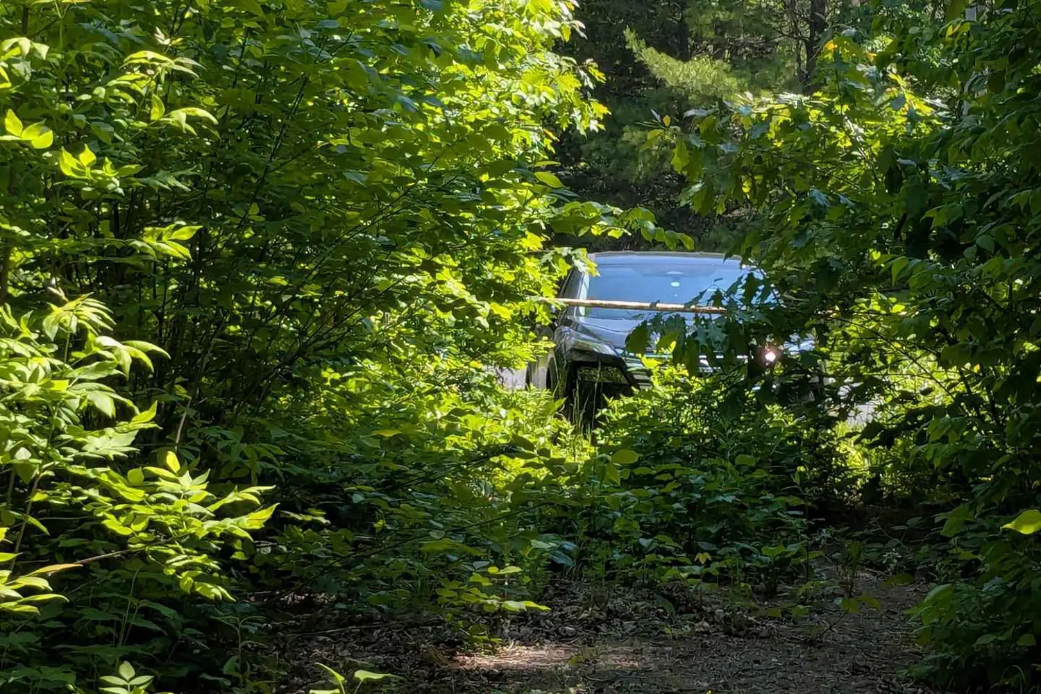 Additional image 6 of 559 Honey Harbour Road