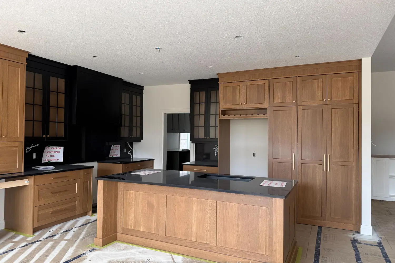 926 Bogdanovic Way photo 2