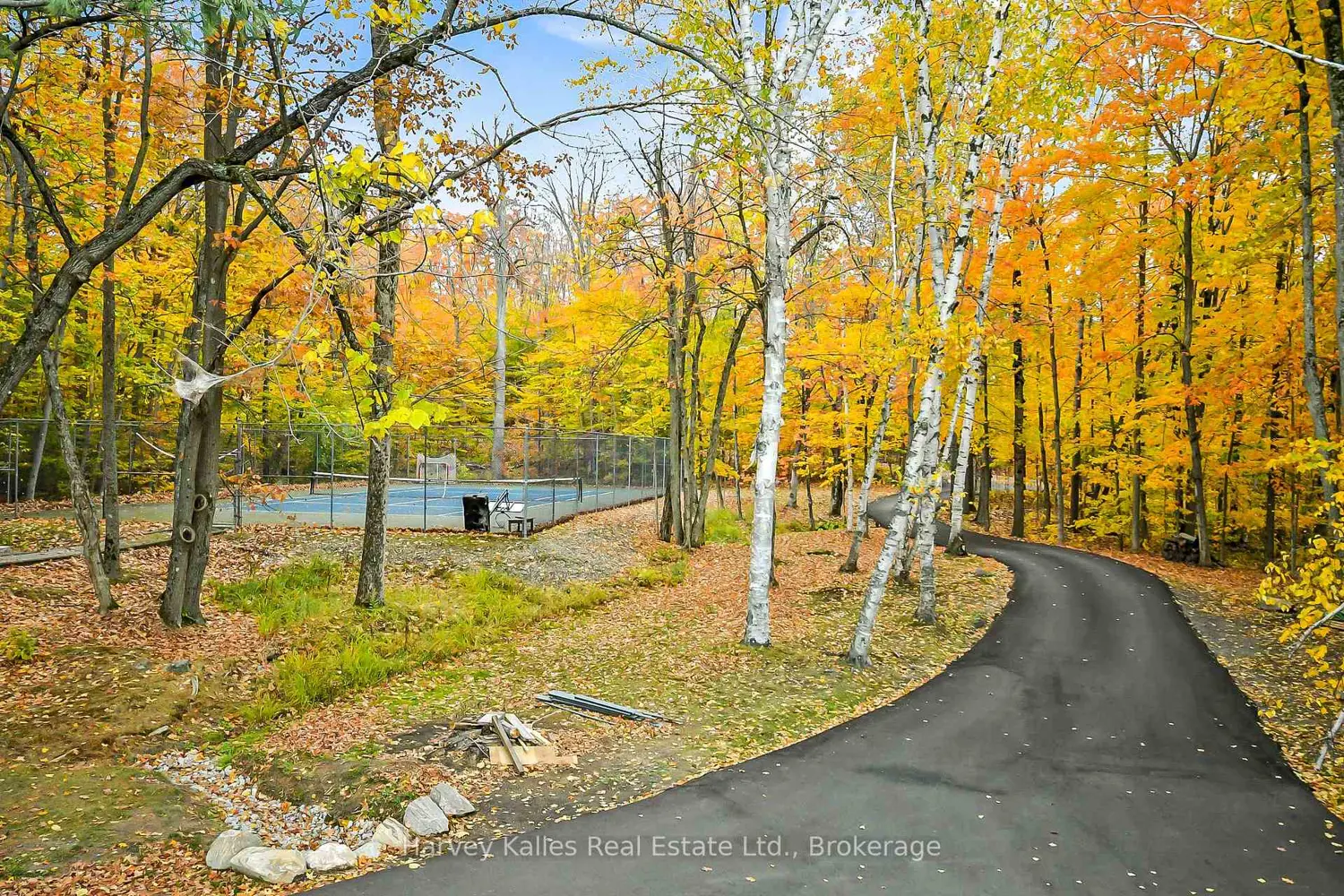 Additional image 3 of 1099 Big Joe Road
