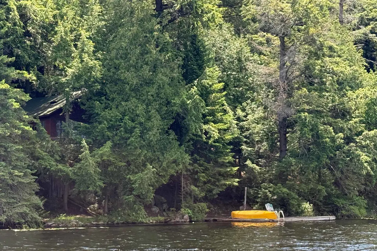 19 Cache Lake Apl1136e