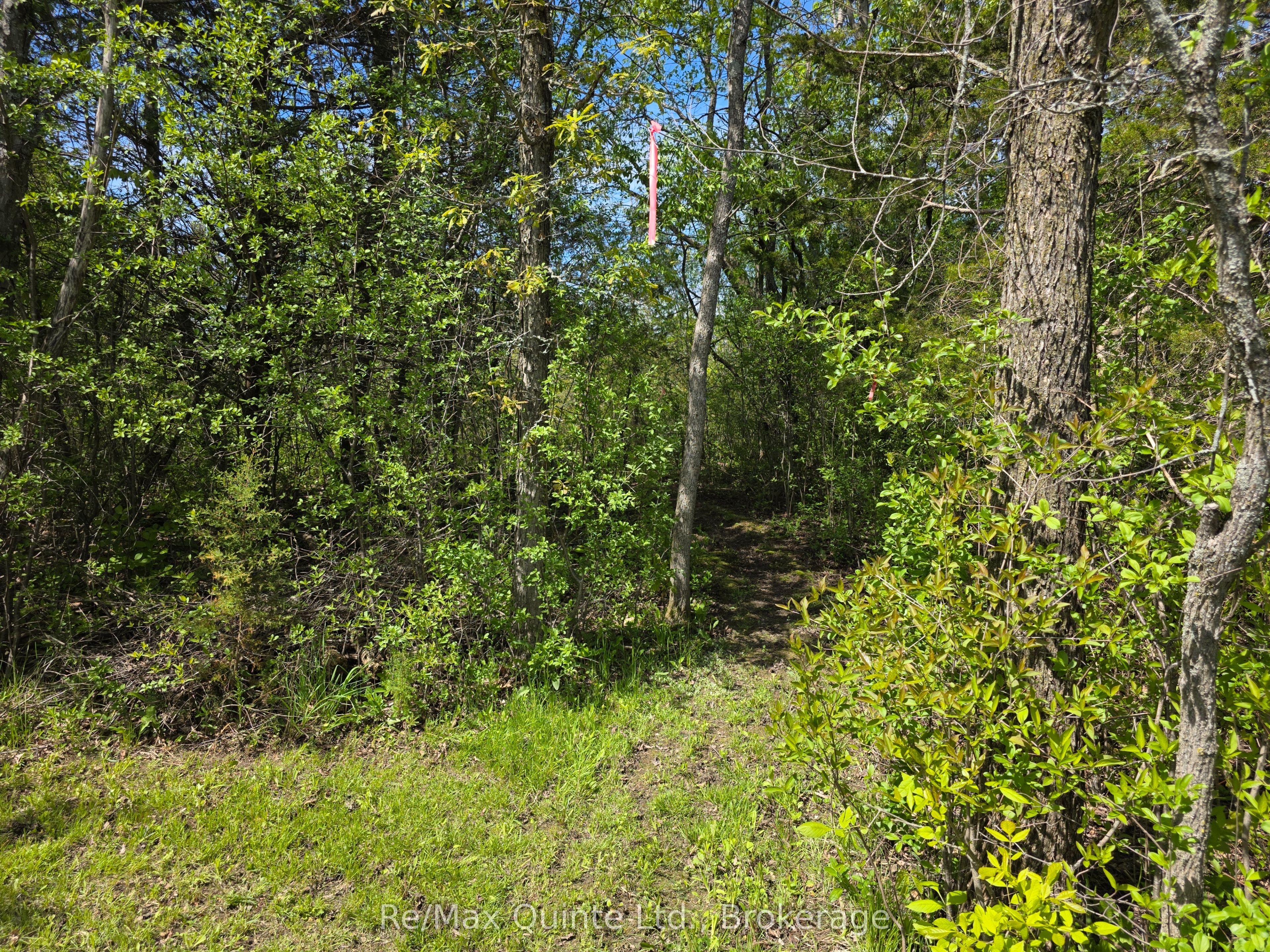 Additional image 6 of Across From 3904 Cty Rd 49 N/a, Prince Edward County, ON, K0K 2T0