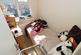 Additional image 11 of Sandringham Road, Stoke Gifford, Bristol