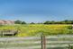 Bishops Close, Cawood photo 3
