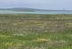 Additional image 2 of Blue Sea View, Shapinsay, Balfour, Orkney KW17