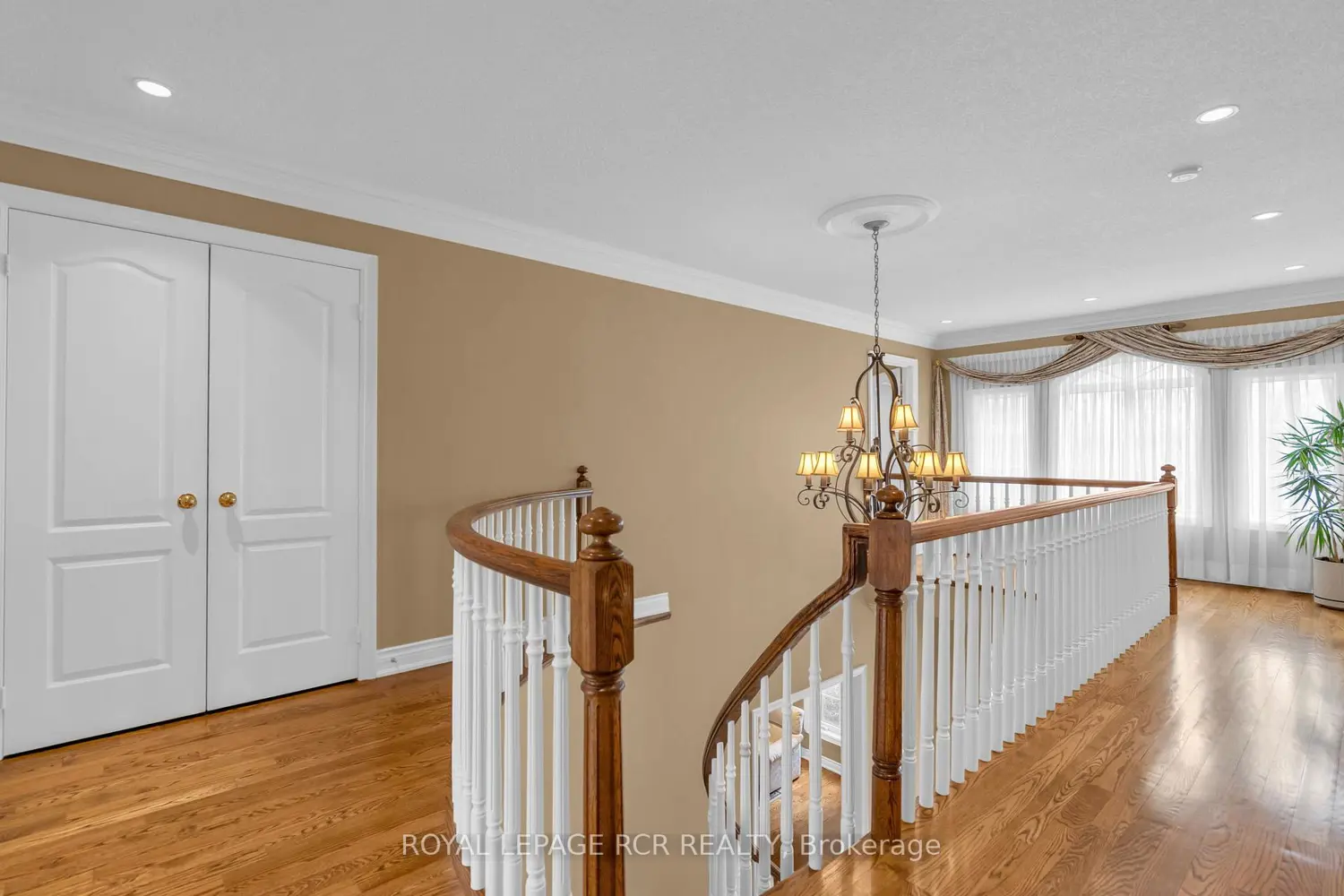 Additional image 9 of 70 English Daisy Court