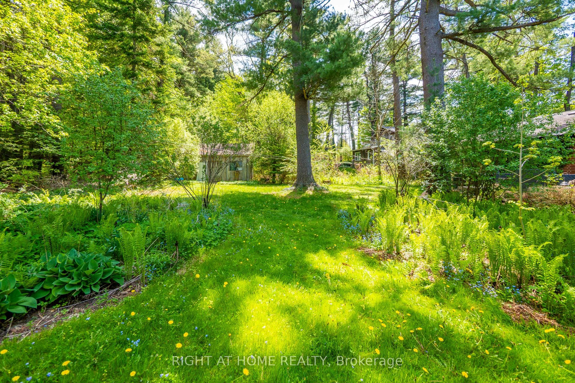 Additional image 3 of 255 Shaver Road, Hamilton, ON, L0R 1R0