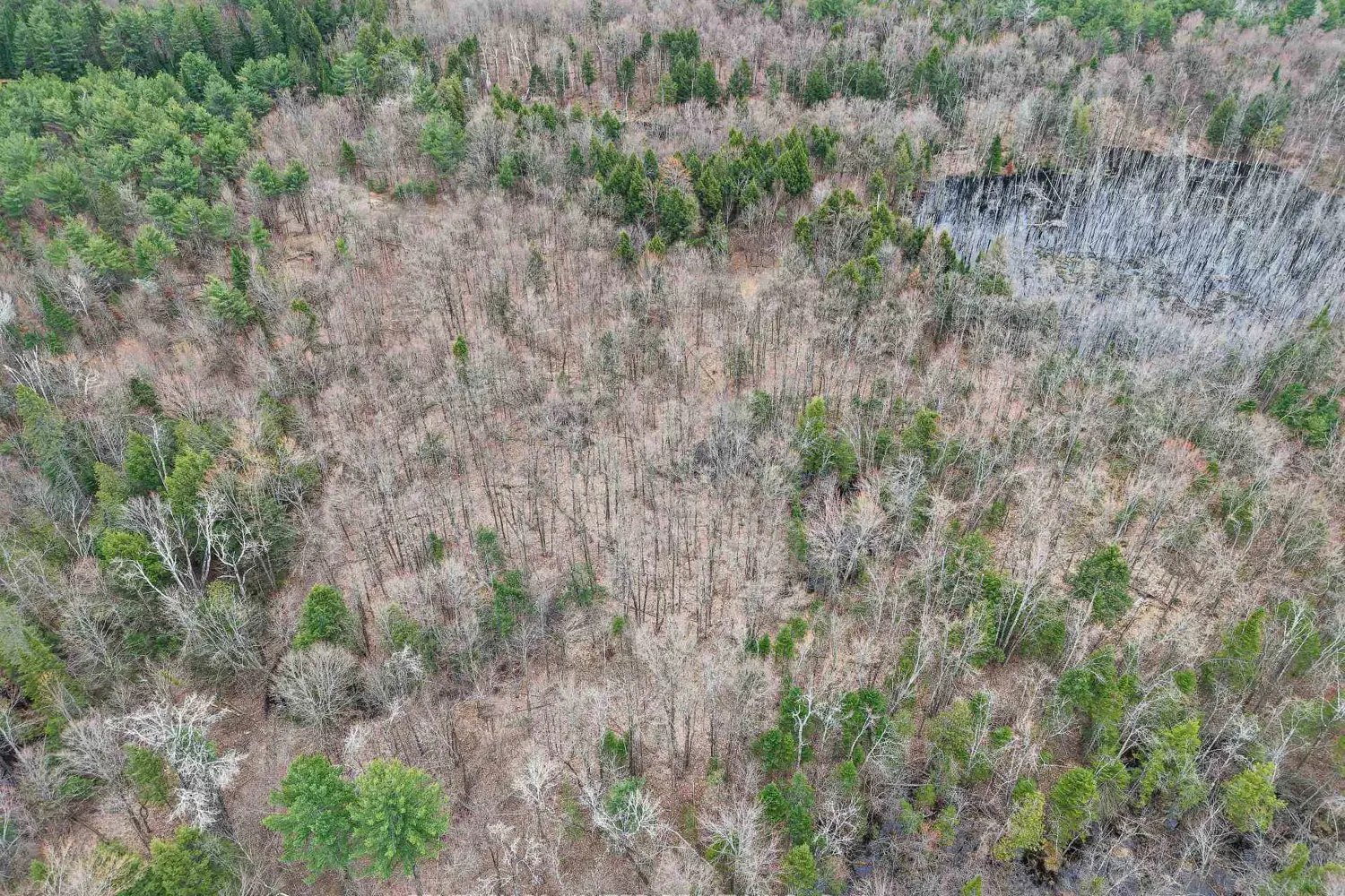 Additional image 2 of 9559 Hwy 28