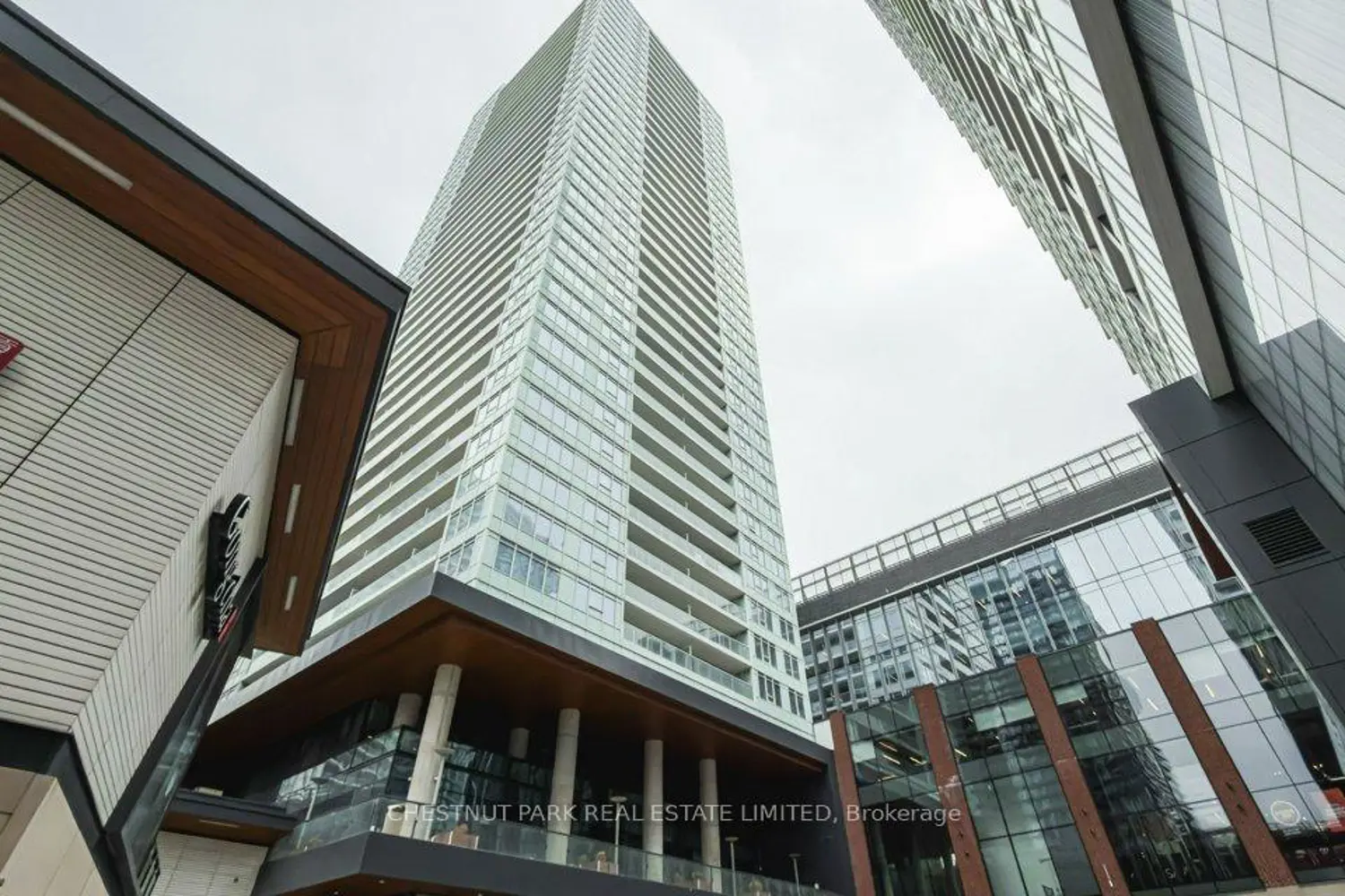17 Bathurst Street 3615