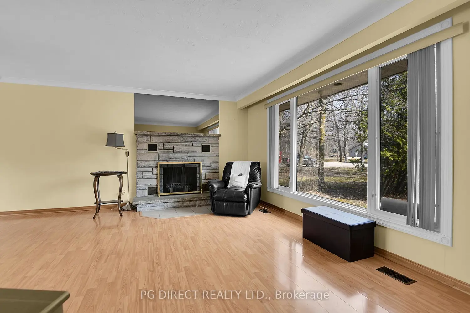 319 Nieman Drive photo 2