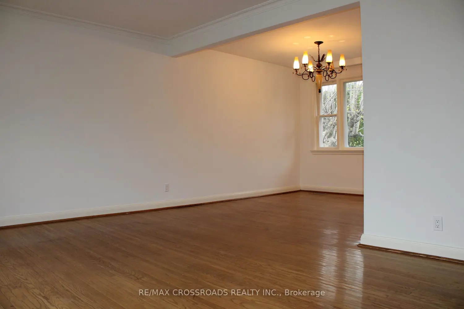 Additional image 5 of 62 Transwell Avenue