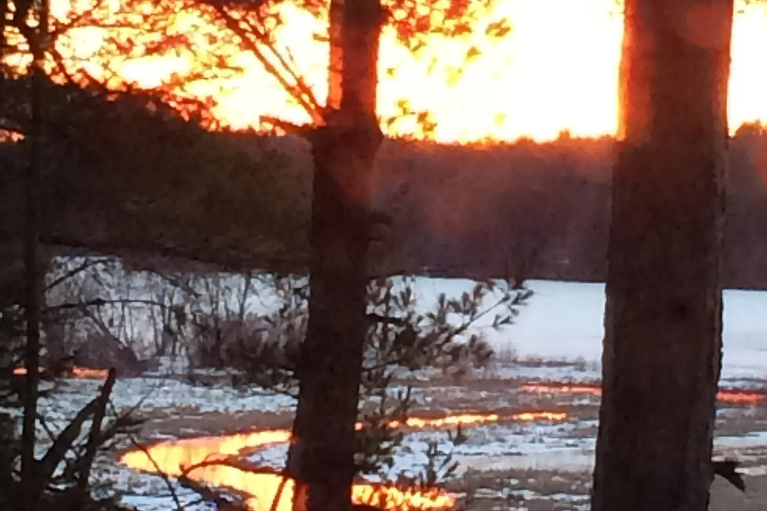 Additional image 18 of 170 Talon Lake Road