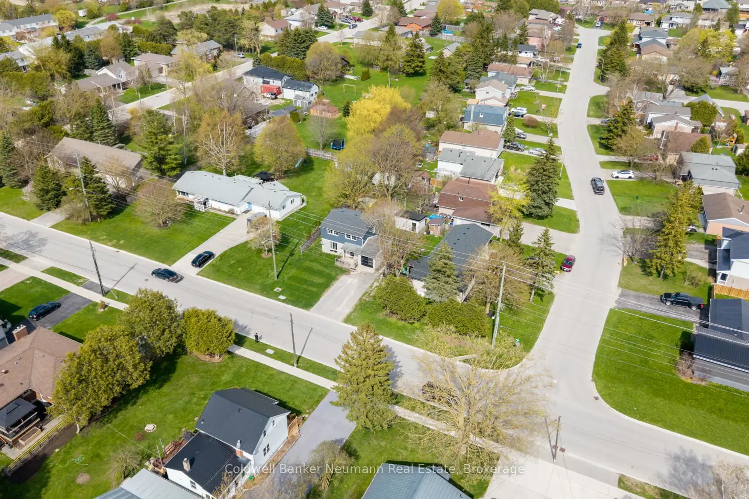 Additional image 18 of 311 Eliza Street