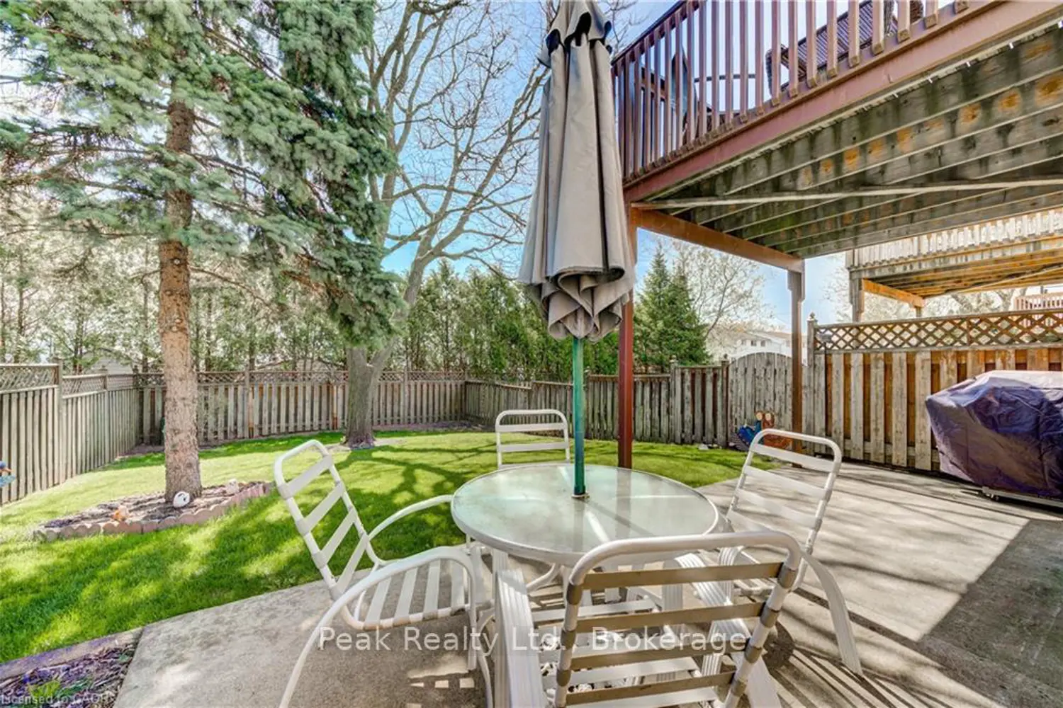 Additional image 16 of 441 Nelson Street