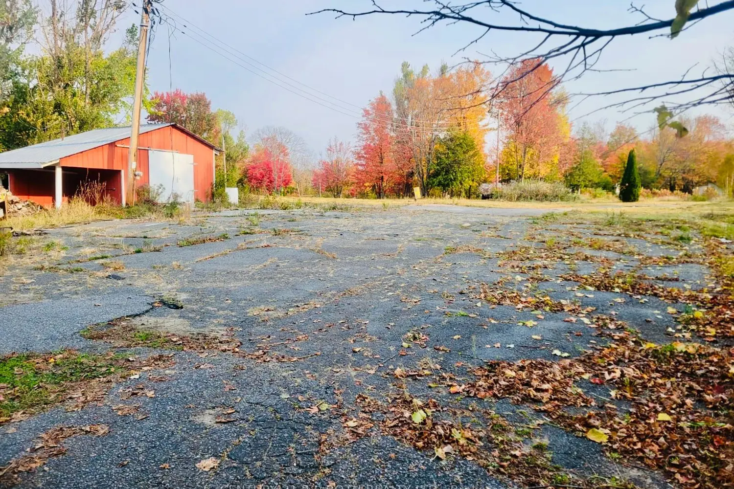 Additional image 6 of 270 Pierre Road