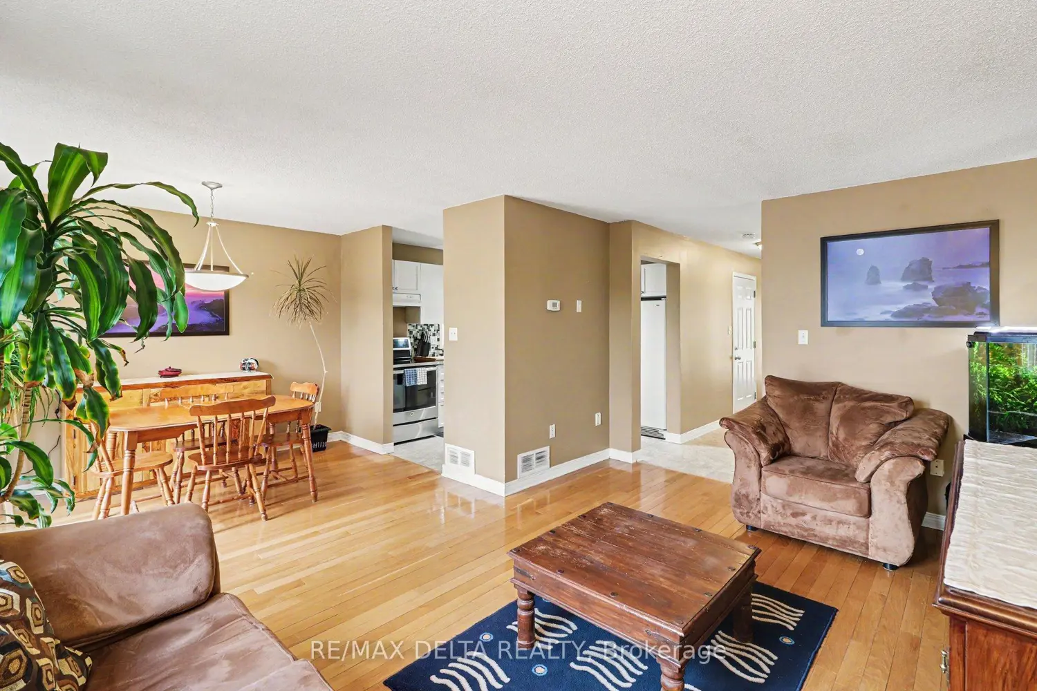 169 Louise Street photo 3