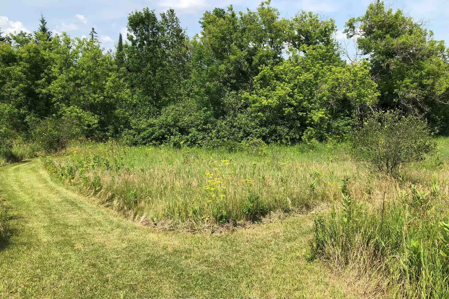 Additional image 11 of 3092 Scotch Bush Road