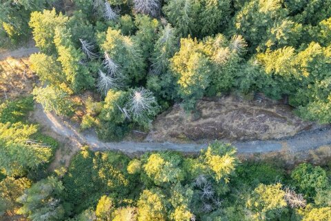 Additional image 8 of 1515 Nighthawk Lane, Sooke, BC, V9Z 1M9