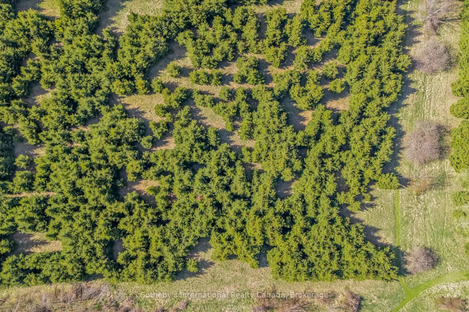 Additional image 15 of 717218 1St Line