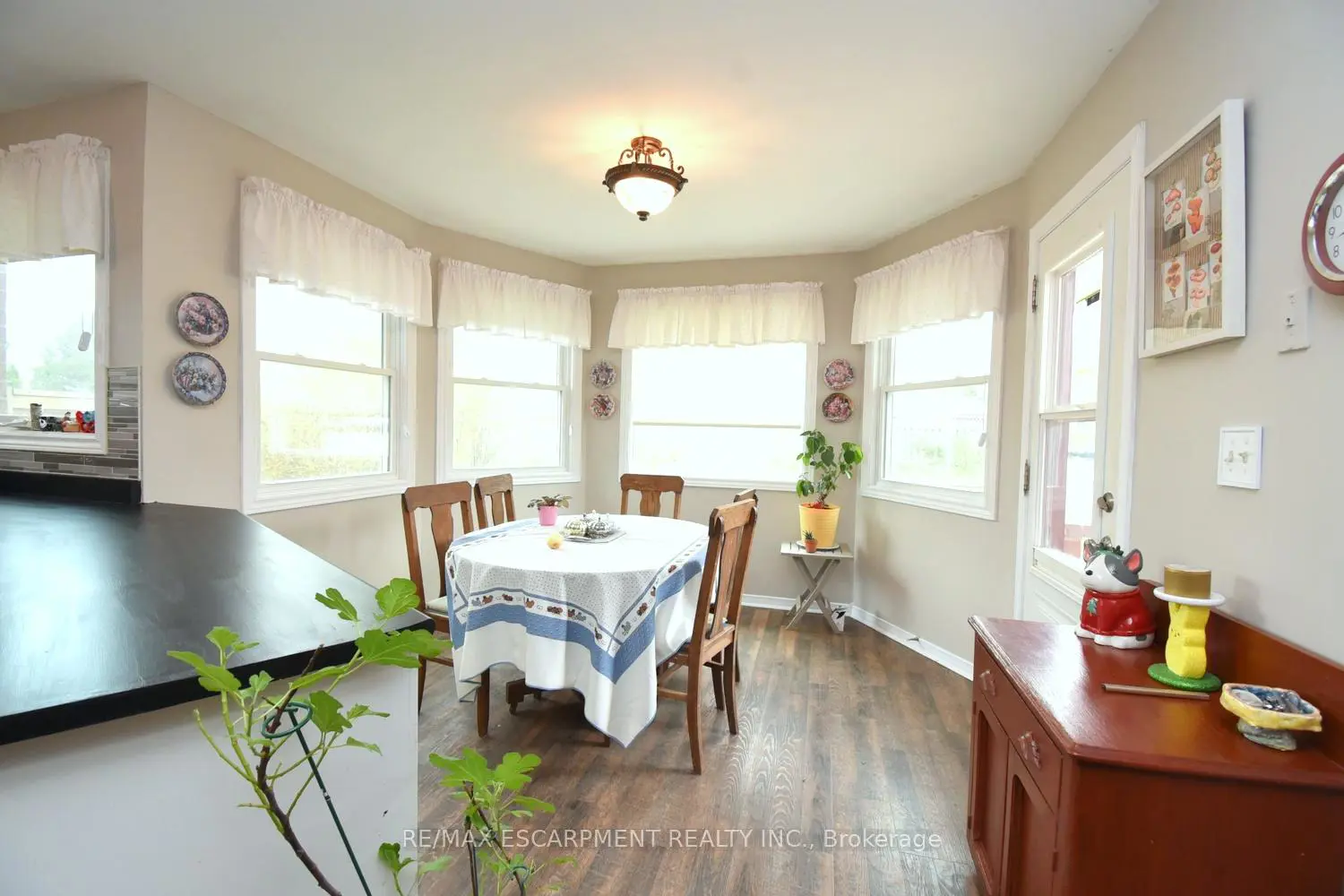 50 Buchanan Drive photo 5