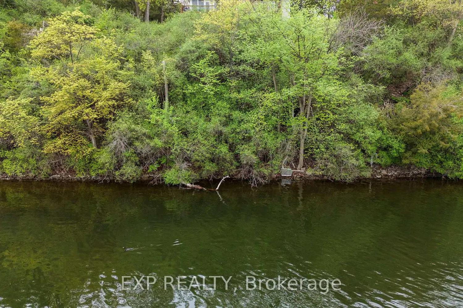 Additional image 17 of 4739 County Rd 9 Road