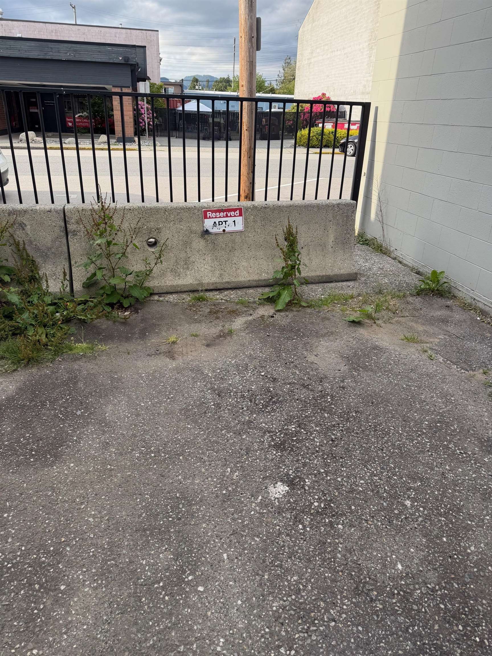 Additional image 4 of 1-22302 Mcintosh Avenue, Maple Ridge, BC, V2X 3C1