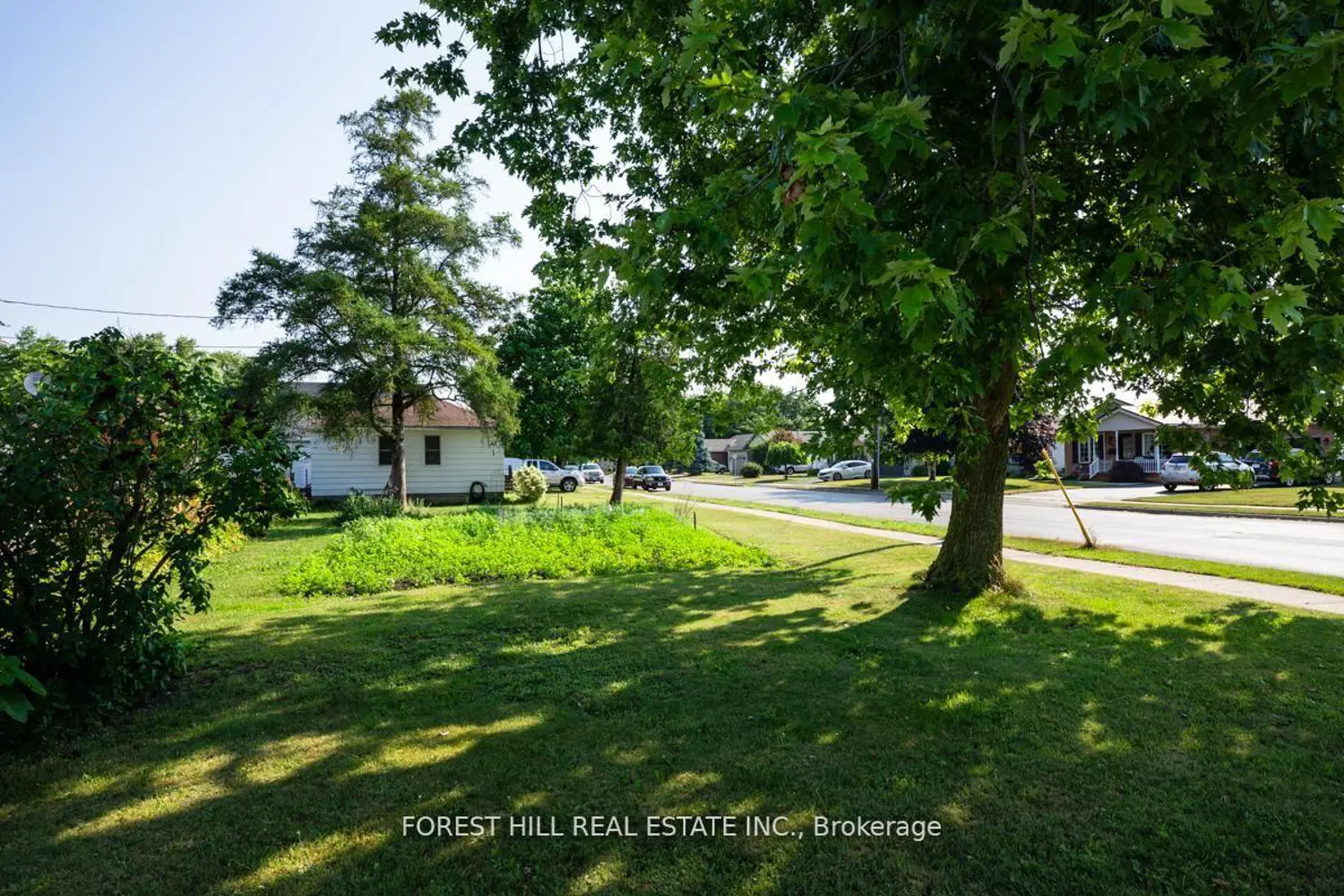 610 Tamarac Street photo 3
