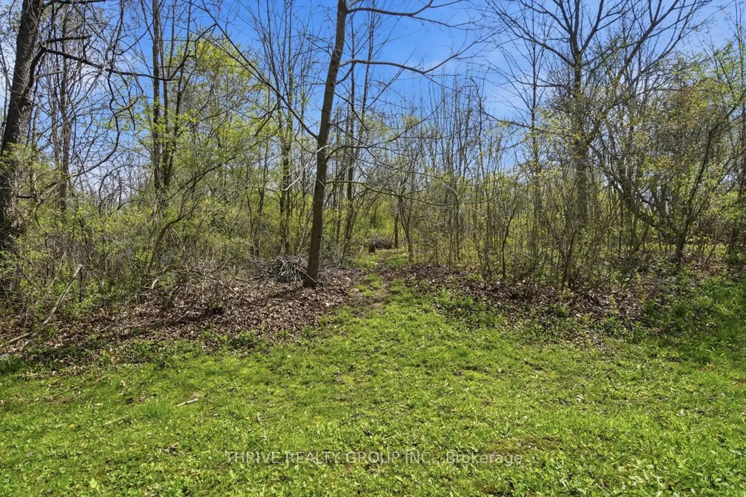 Additional image 16 of 52 Wynfield Lane