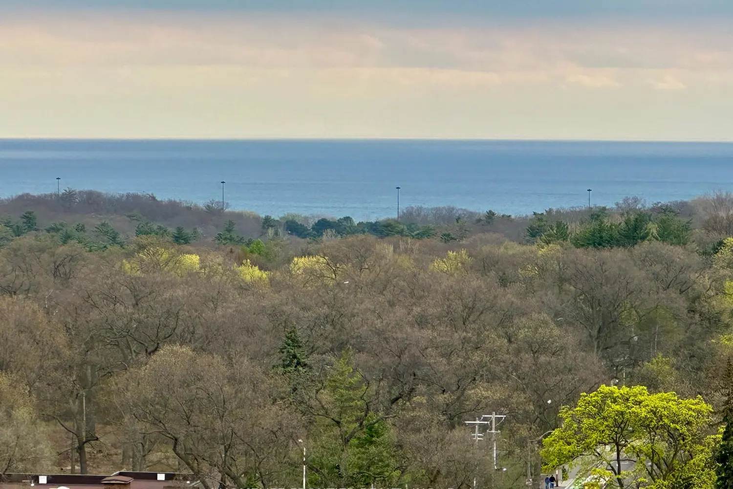 Additional image 15 of 70 High Park Avenue 1304