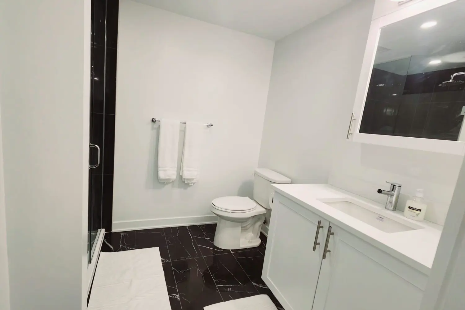 Additional image 6 of 340 Queen Street 1009
