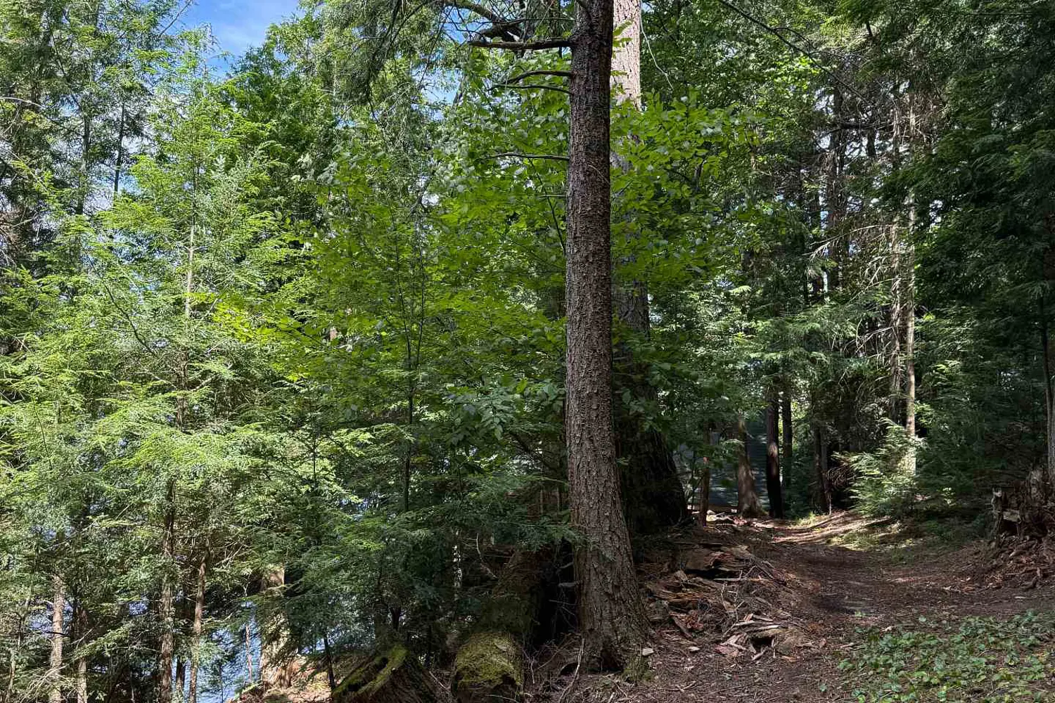 Additional image 8 of 19 Cache Lake Apl1136e