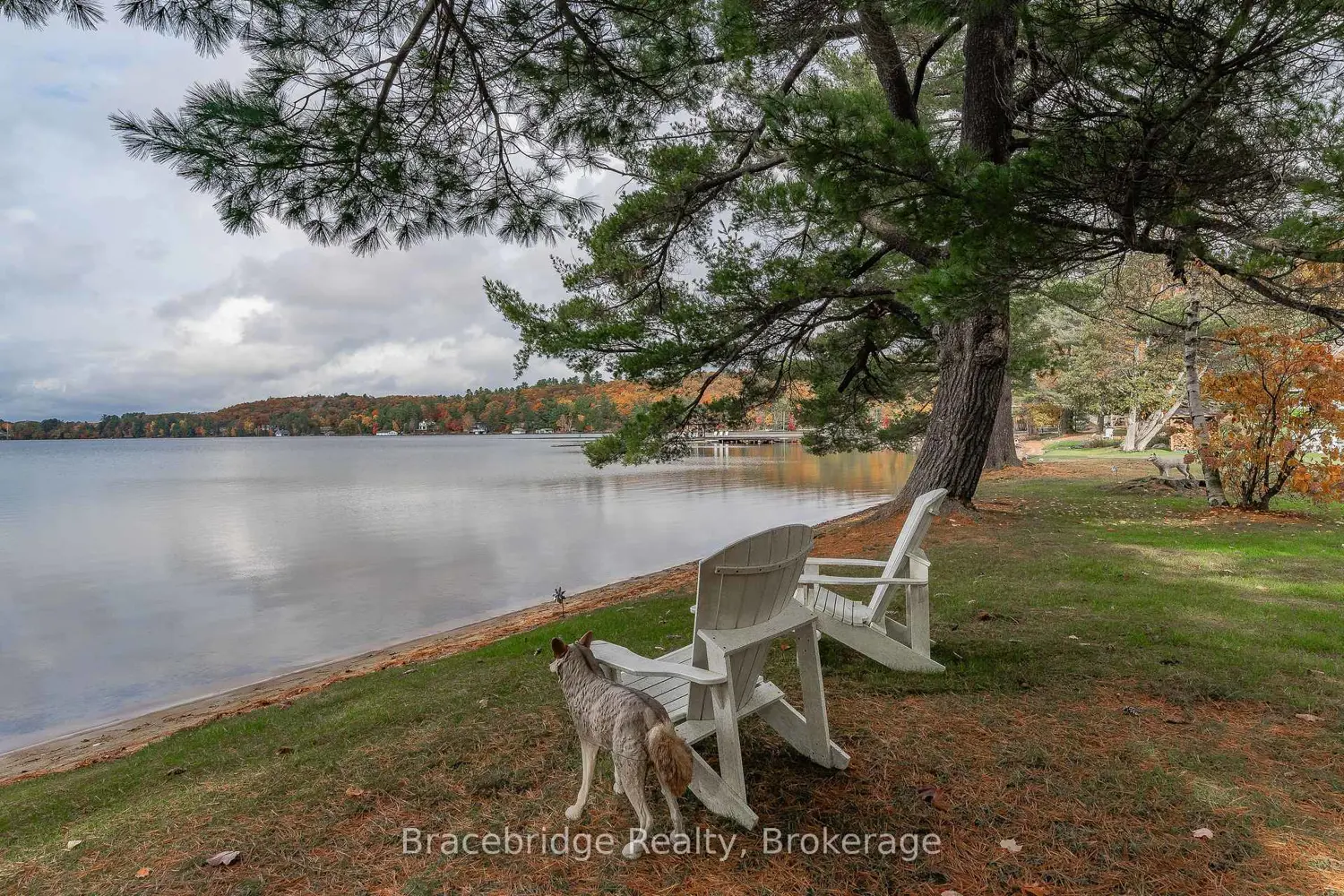 Additional image 10 of 3876 Muskoka Rd 118 Highway Carling 6 W7