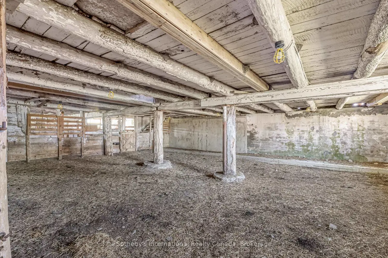 Additional image 13 of 717218 1St Line