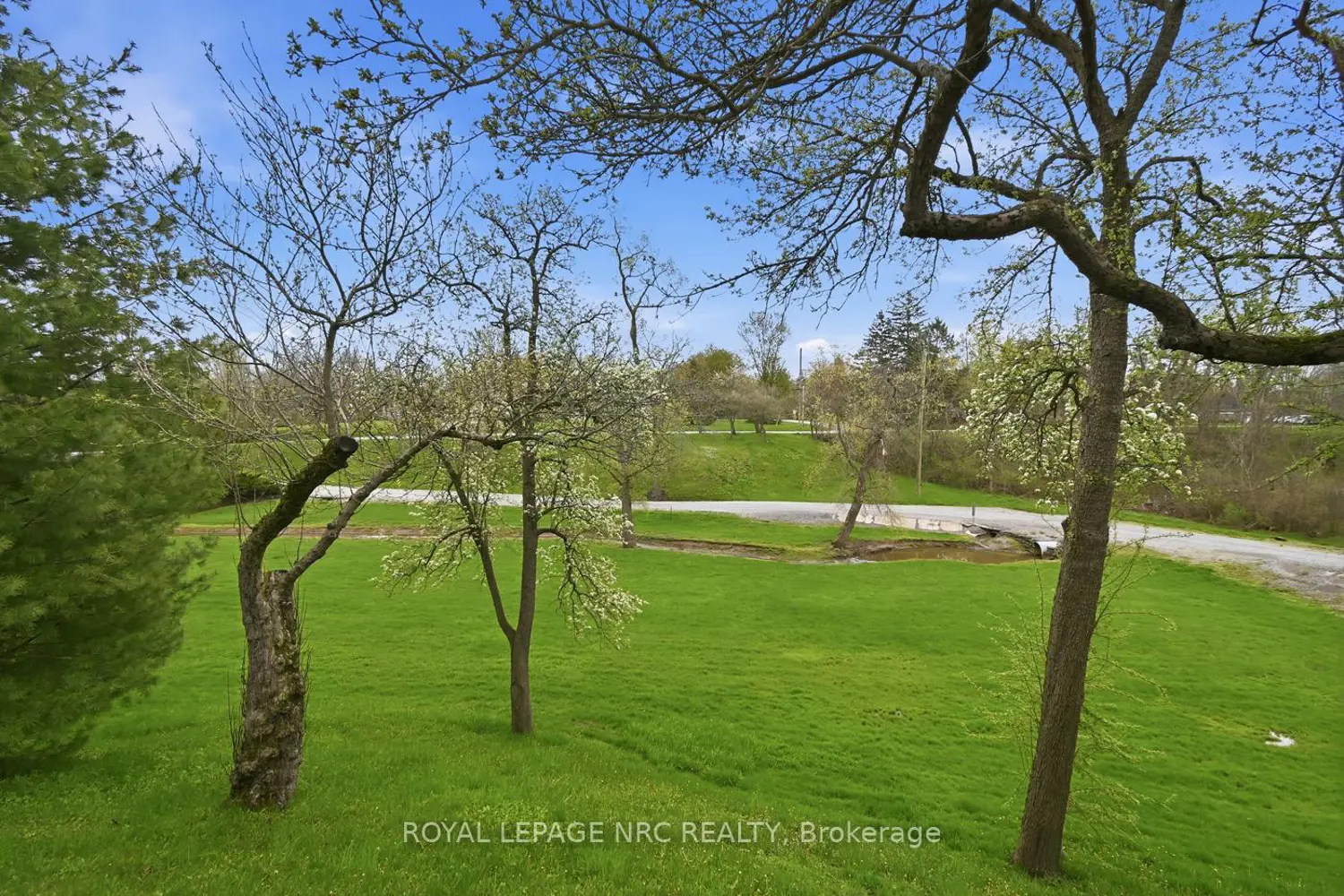 Additional image 11 of 53 Pearson Road