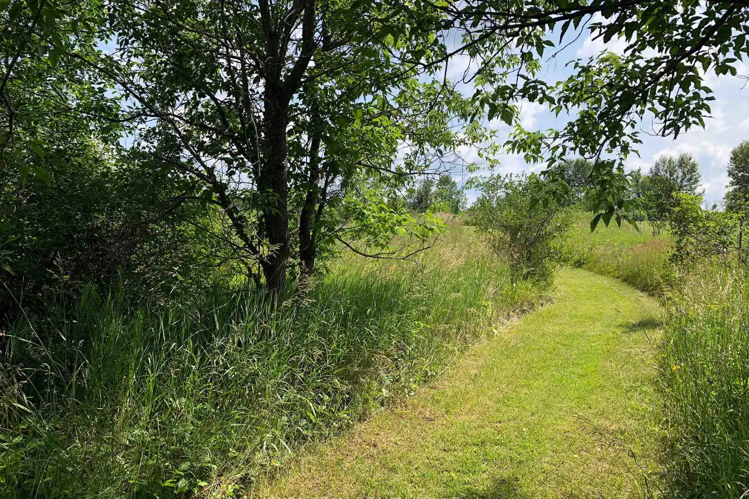 Additional image 10 of 3092 Scotch Bush Road