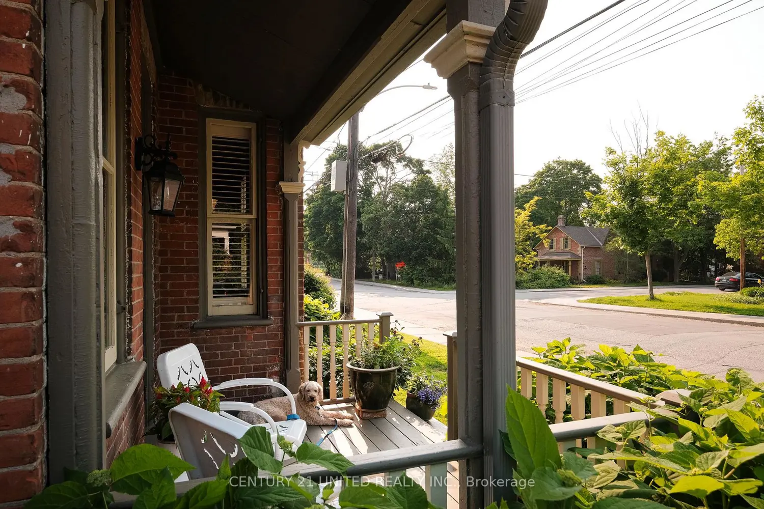 Additional image 18 of 558 Harvey Street