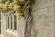 Additional image 11 of Haresfield, Stonehouse, GL10