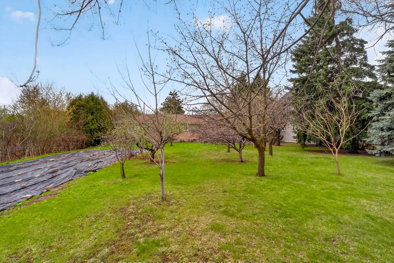 Additional image 14 of 27 Vaughan Boulevard