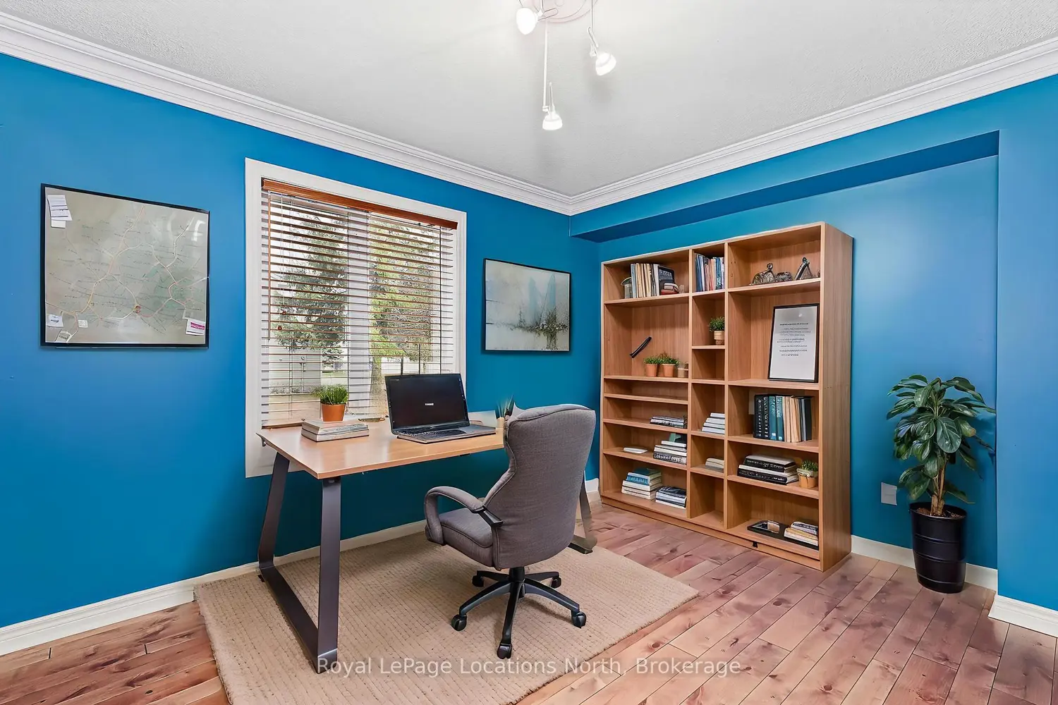 35 Barker Boulevard photo 5