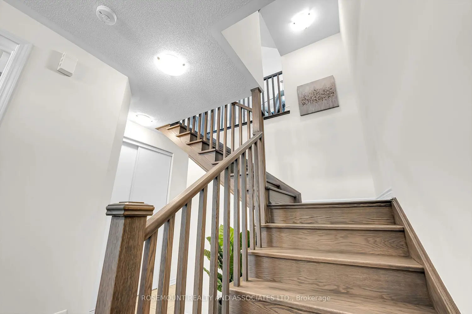Additional image 5 of 52 Fiesta Way