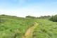 Additional image 31 of Church Lane, Sompting, Lancing, West Sussex, BN15