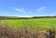 Additional image 7 of Soldon Cross, Sutcombe, Holsworthy