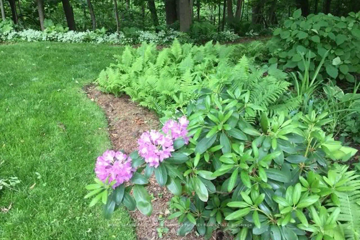 Additional image 15 of 1250 Marlborough Court 27