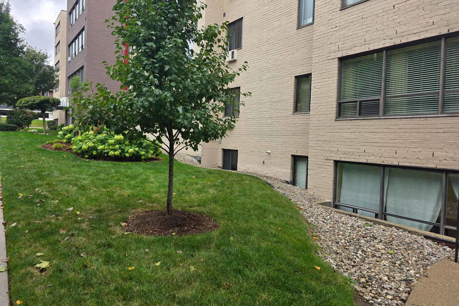 Additional image 2 of 650 Cheapside Street B1