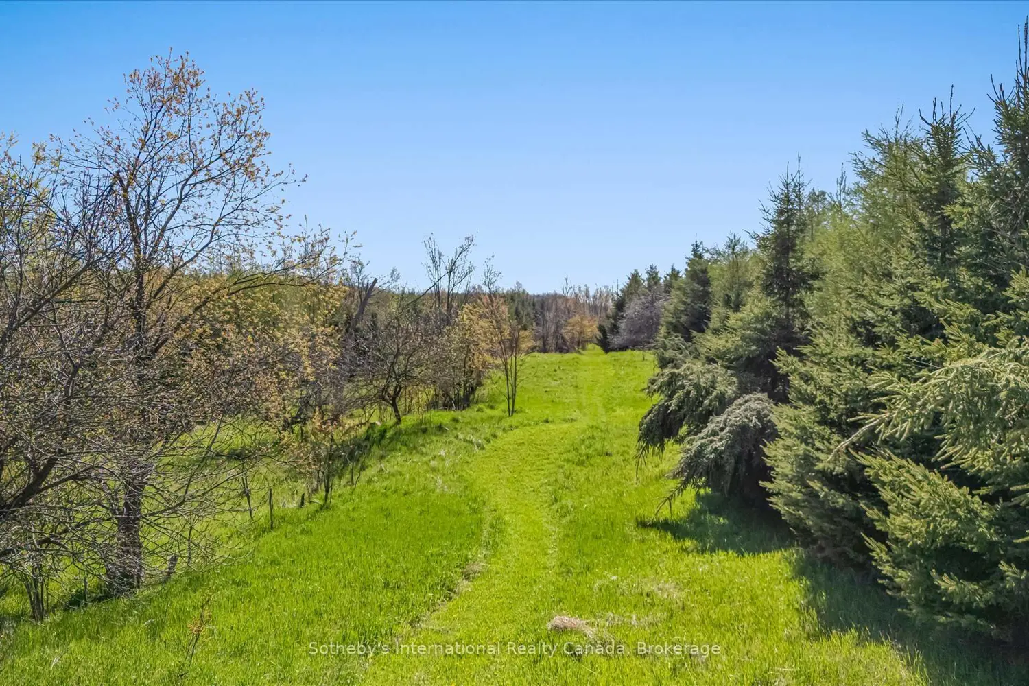 Additional image 14 of 717218 1St Line