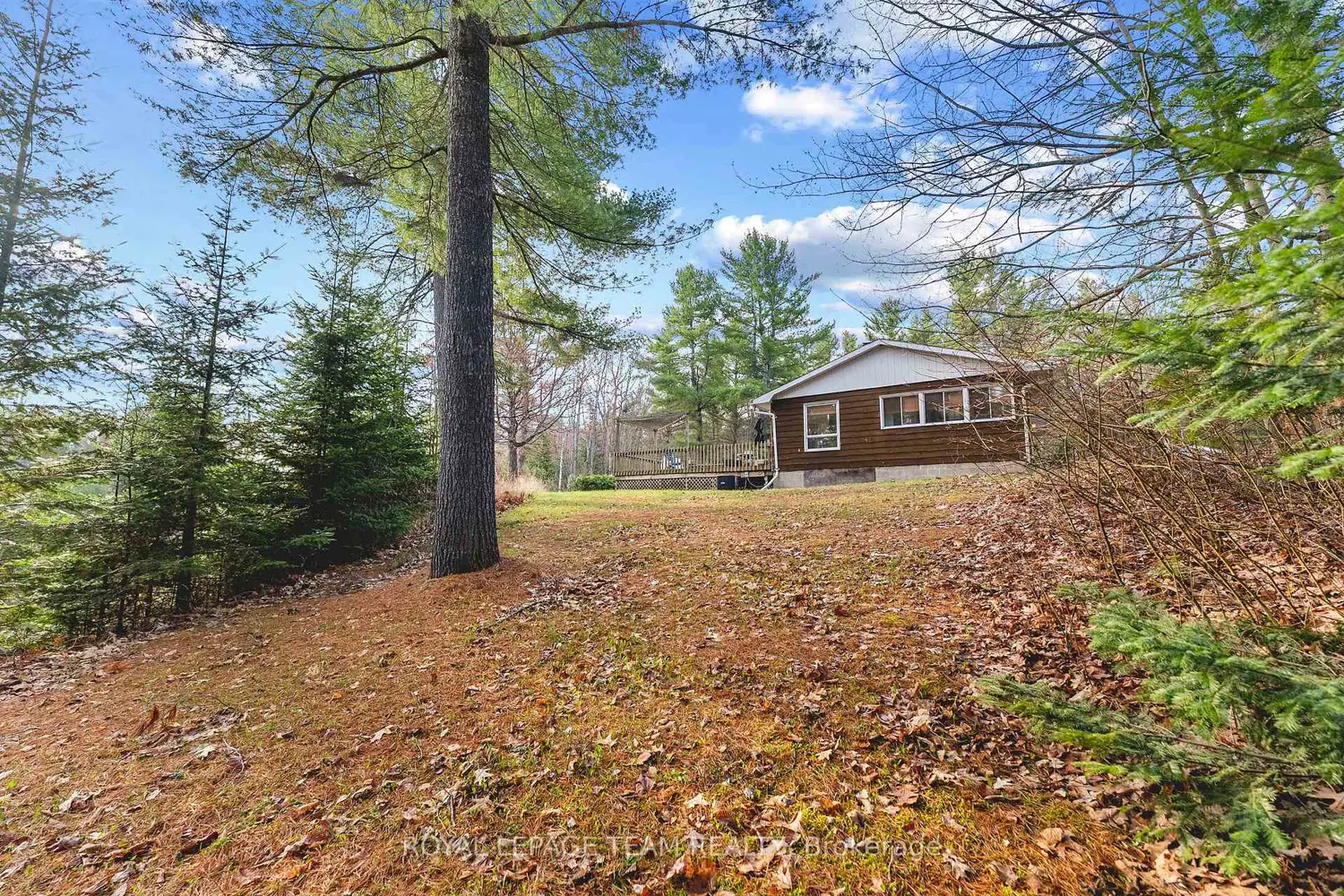 Additional image 11 of 31 Manning Road